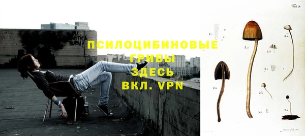 крисы Алексин