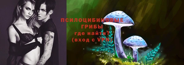 крисы Алексин