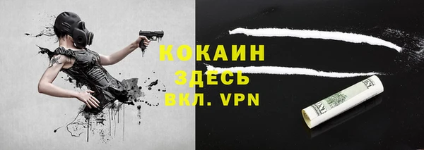 твердый Алзамай