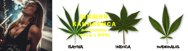 крисы Алексин