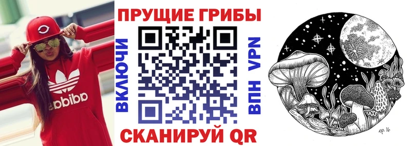 kraken вход Ивангород Галлюциногенные грибы прущие грибы